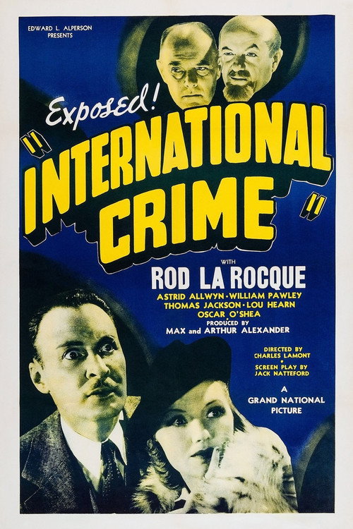 Locandina di International Crime
