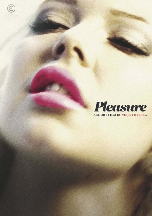 Póster de Pleasure