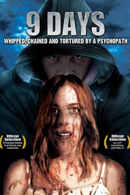 Póster de 9 Days