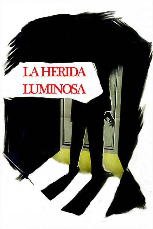 Póster de La herida luminosa