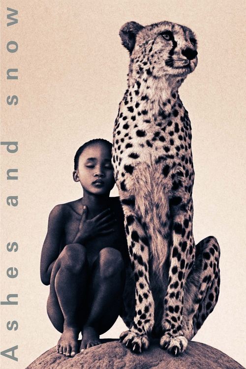 Póster de Ashes and Snow