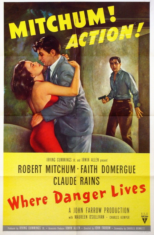 Póster de Where Danger Lives