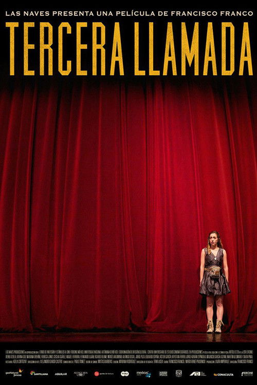 Póster de Tercera llamada