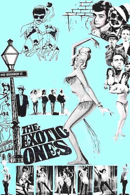 Póster de The Exotic Ones