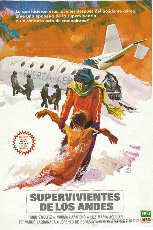 Póster de Supervivientes de los Andes