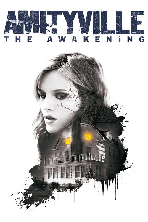 Póster de Amityville: The Awakening