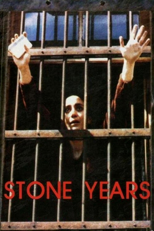 Póster de Stone Years