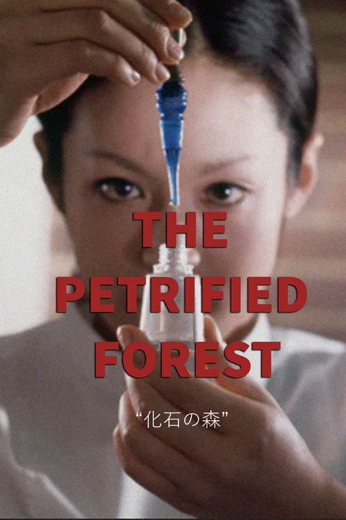 Póster de The Petrified Forest