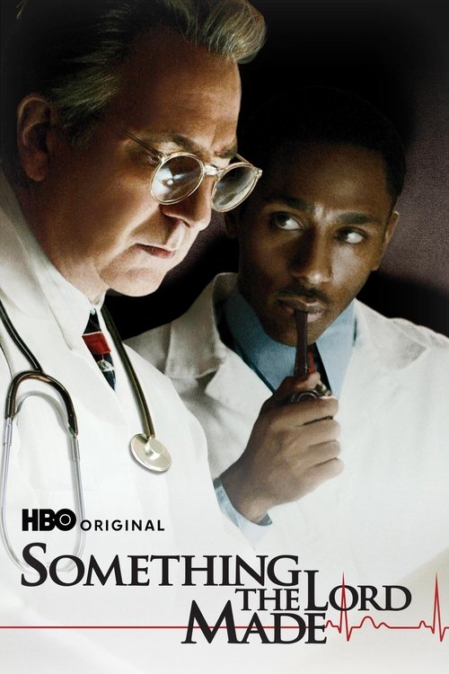 Póster de Something the Lord Made