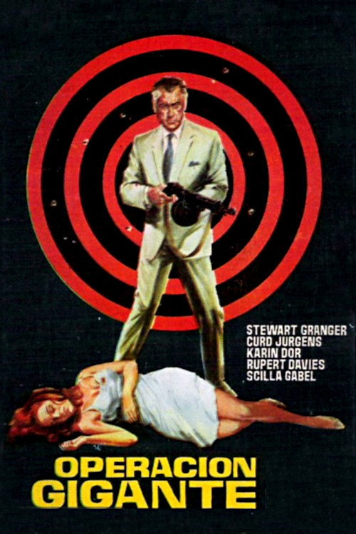 Póster de Target for Killing