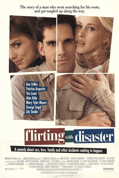 Póster de Flirting with Disaster