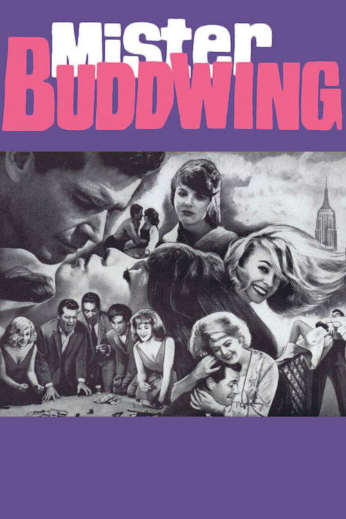 Pôster de Mister Buddwing
