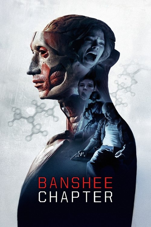 Poster of Banshee Chapter
