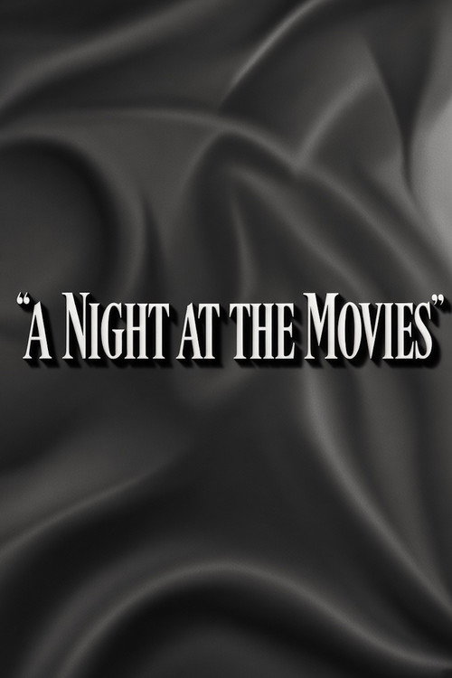Póster de A Night at the Movies