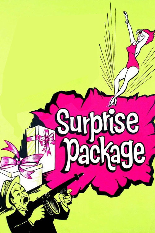 Póster de Surprise Package
