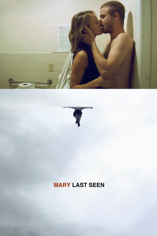 Póster de Mary Last Seen