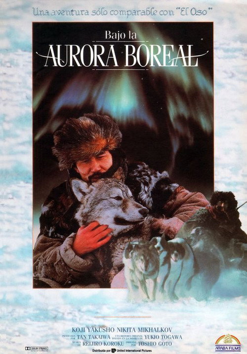 Póster de Under Aurora