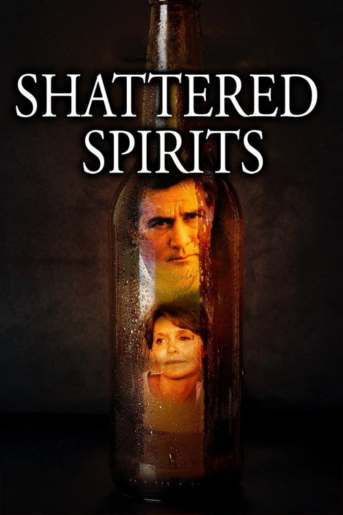 Póster de Shattered Spirits