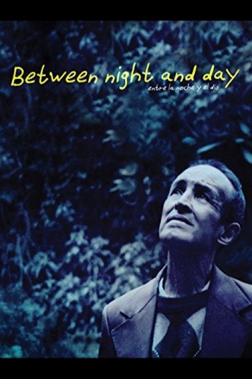 Póster de Entre la noche y el día