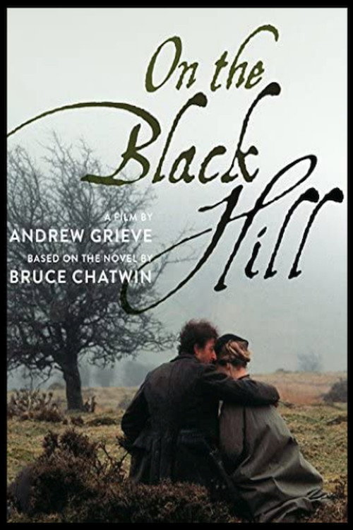 Póster de On the Black Hill