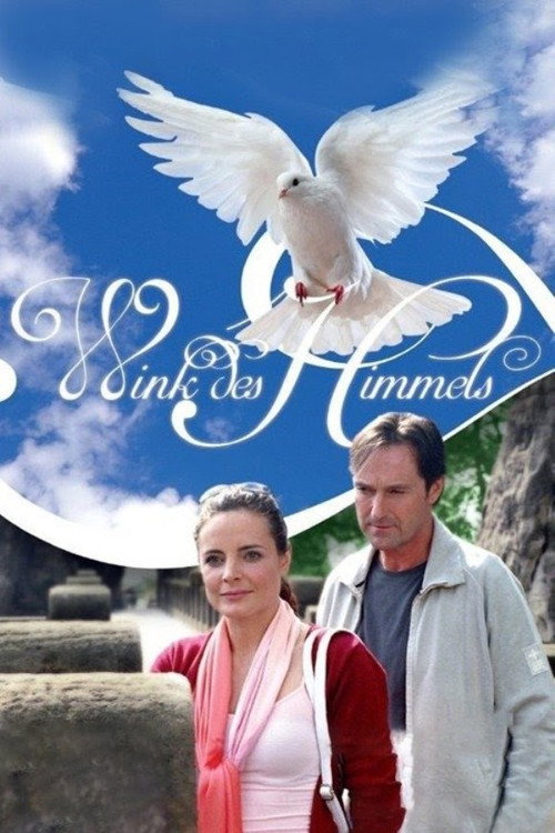 Locandina di Wink des Himmels