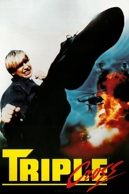 Póster de Angel Of Fury