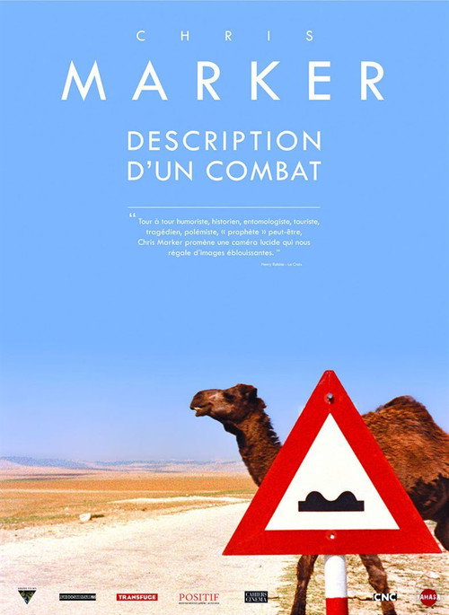Póster de Description of a Struggle