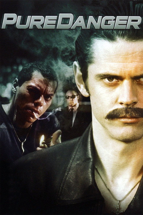 Póster de Pure Danger