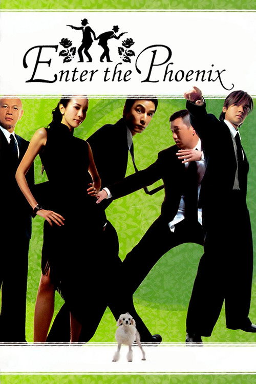 Póster de Enter the Phoenix