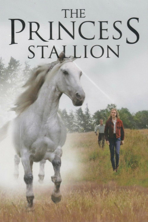Póster de The Princess Stallion