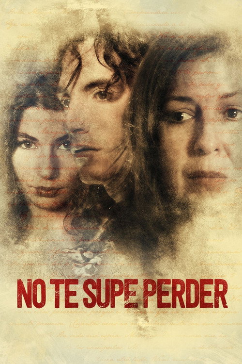 Póster de No te supe perder