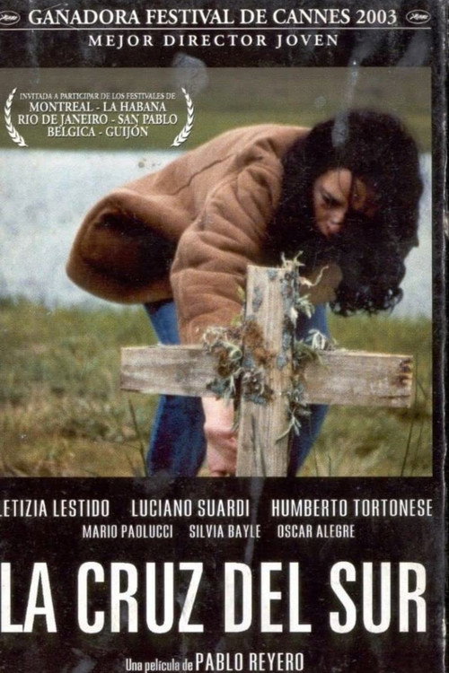 Póster de La cruz del sur