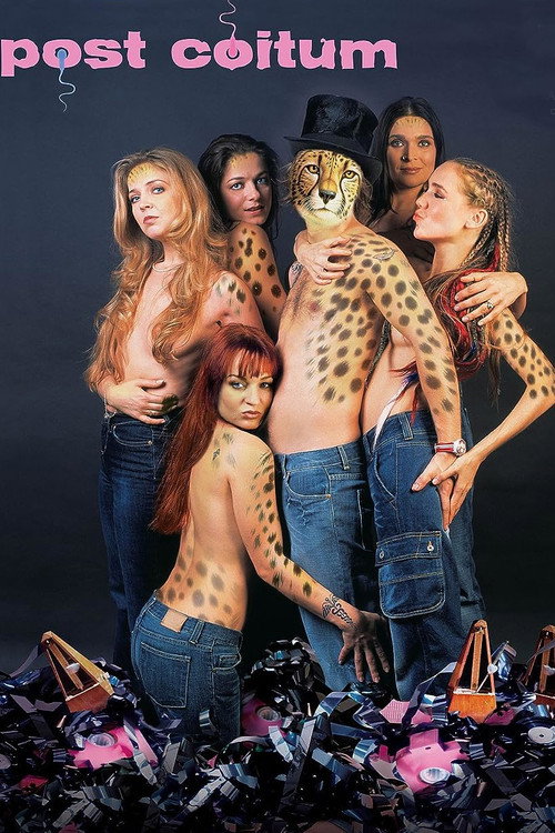 Póster de Post Coitum