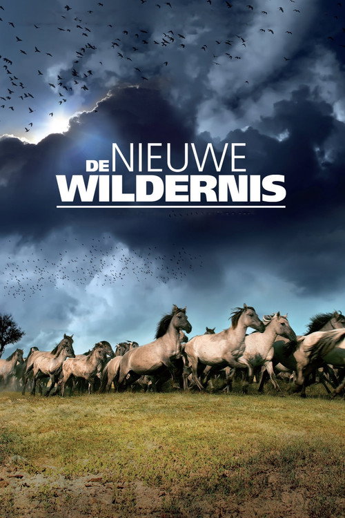 Póster de The New Wilderness