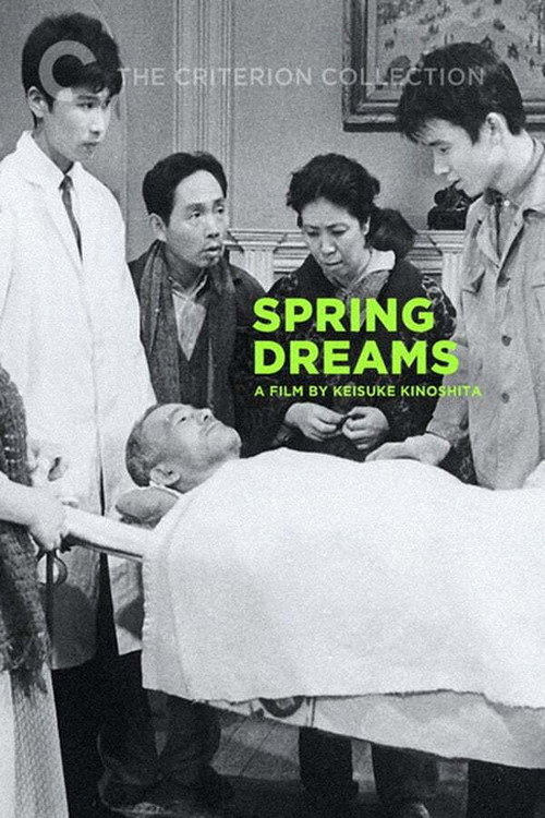 Póster de Spring Dreams