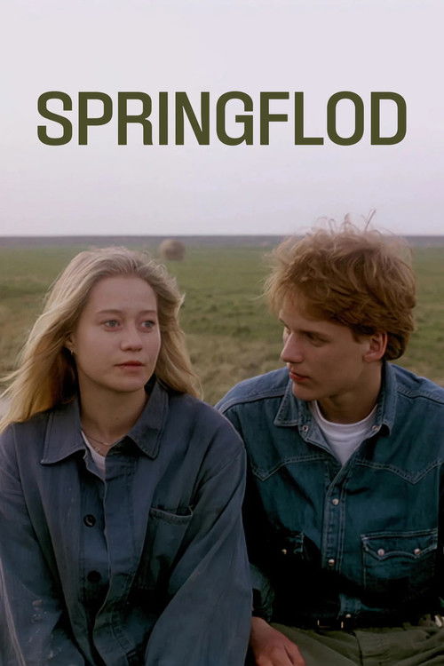 Póster de Spring Tide