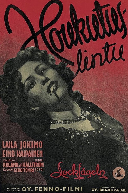Póster de Houkutuslintu