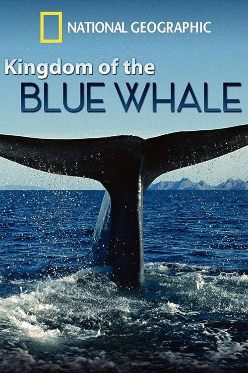 Póster de Kingdom of the Blue Whale