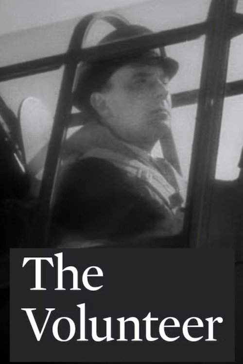 Póster de The Volunteer