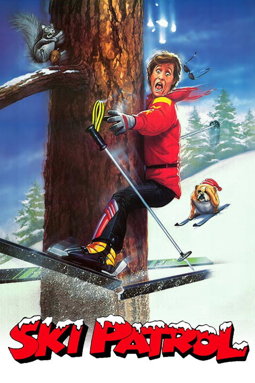 Póster de Ski Patrol
