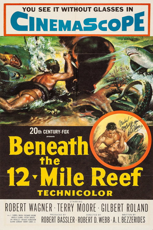 Póster de Beneath the 12-Mile Reef
