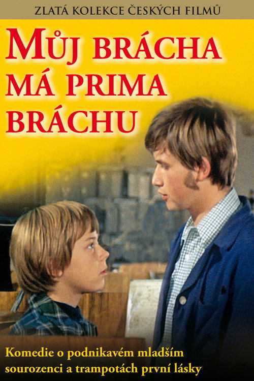Póster de My Brother Has a Cute Brother