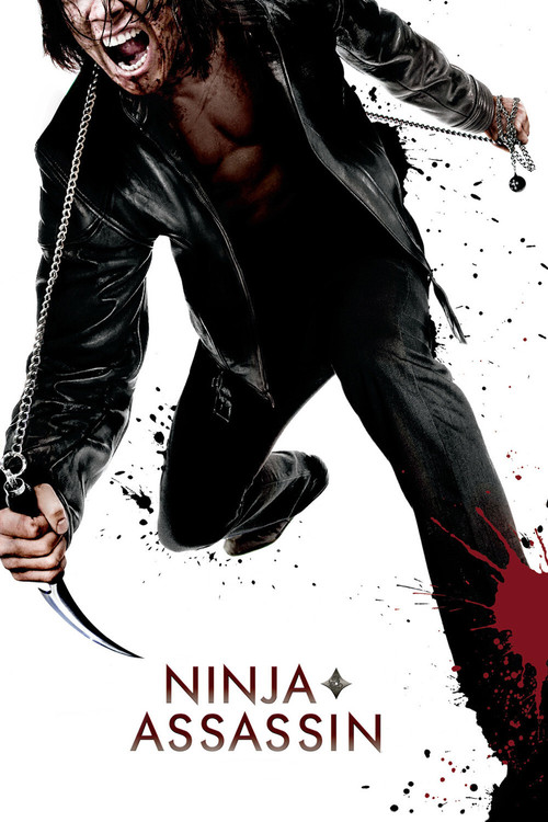 Pôster de Ninja Assassino