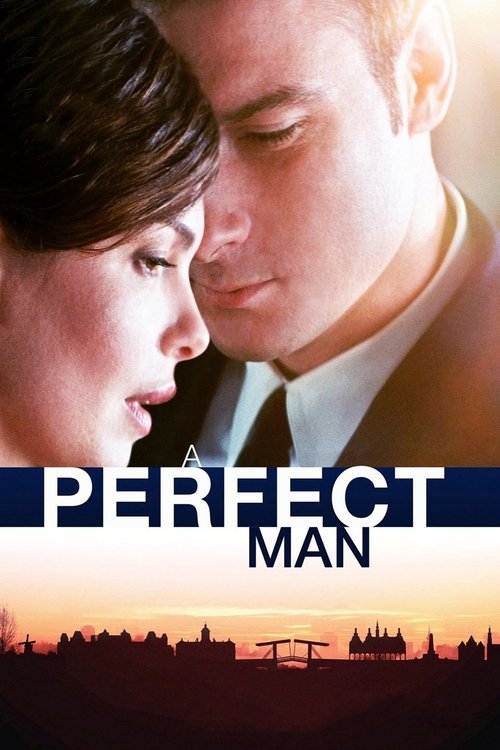 Póster de A Perfect Man