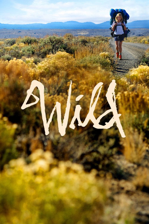 Póster de Wild