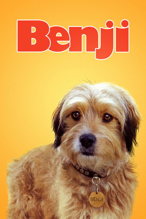 Póster de Benji