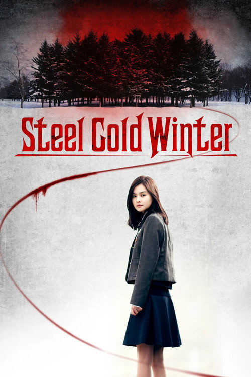Póster de Steel Cold Winter