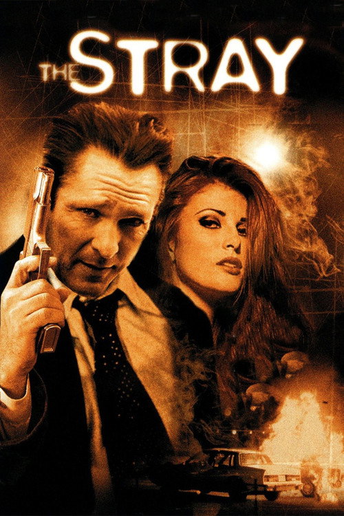 Poster of The Stray