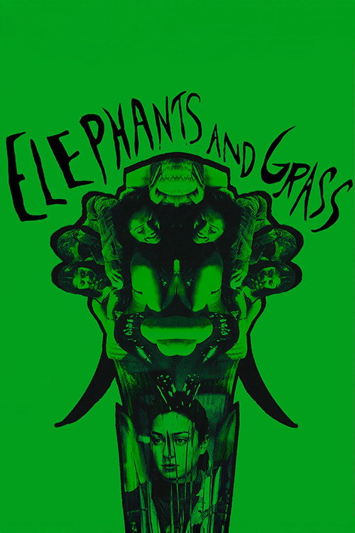 Póster de Elephants and Grass