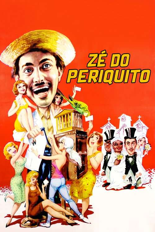 Póster de Zé do Periquito